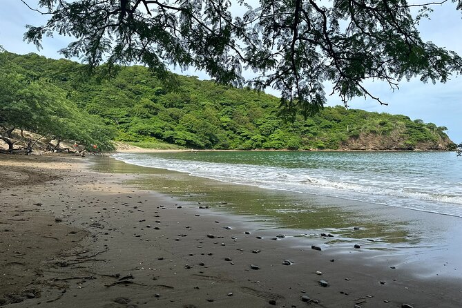 Private Jungle Beach ATV Tour Guided By Kenneth - Inclusions and Culinary Experience
