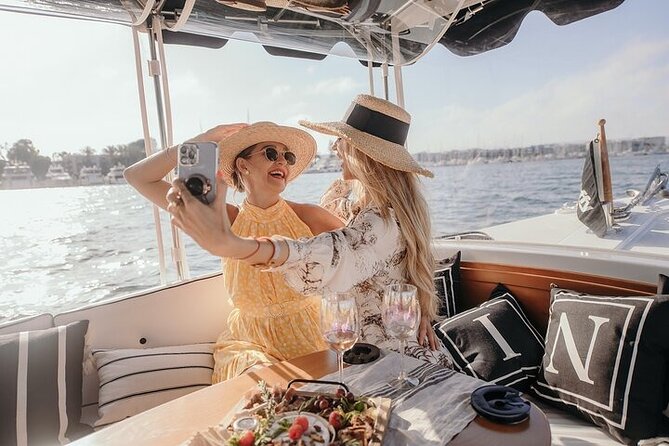 Private Luxury E-Boat Cruise With Wine, Charcuterie & Sea Lions Spotting - Spotting Sea Lions on the Water