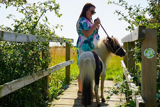 Private Miniature Horse Walking Near Lincoln - Included Activities