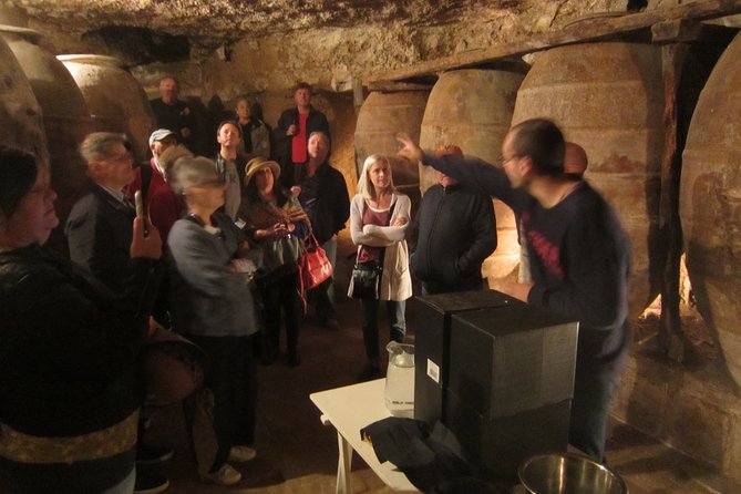 Private Morning Wine and Winery Tour and Tasting From Valencia - Wine Tastings and Winery Tour