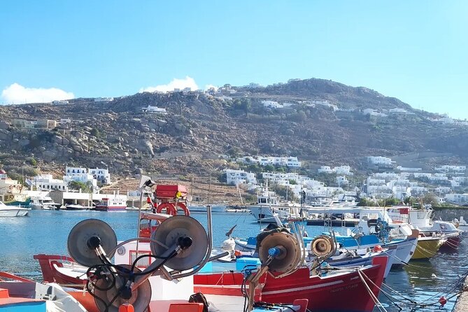 Private Mykonos Airport Transfer - Drop-off Location and Navigation