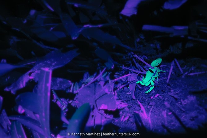 Private Night Hike In The Woods - Tour Inclusions