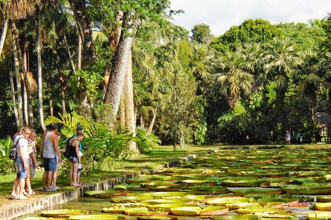 Private North Day Tour: Botanical Garden, Sugar Museum, Rum Tasting, Port Louis - Pamplemousses Botanical Garden