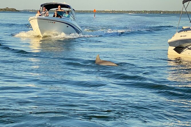 Private ONLY Dolphin Boat Tours - Amenities and Inclusions