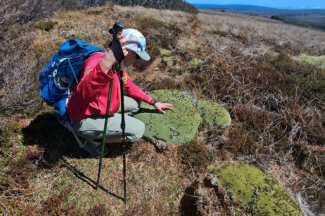 Private Patagonian Forest Hike in Punta Arenas: 6 Hour - Inclusions and Amenities