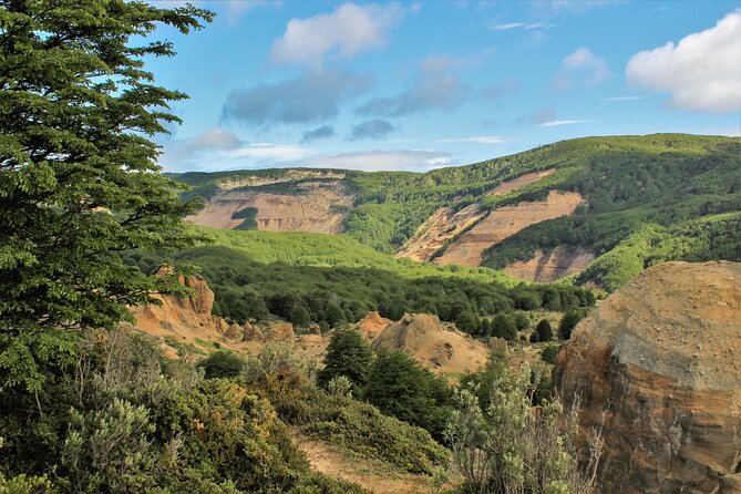Private Patagonian Forest Hike in Punta Arenas: 8 Hour - Pickup and Timing
