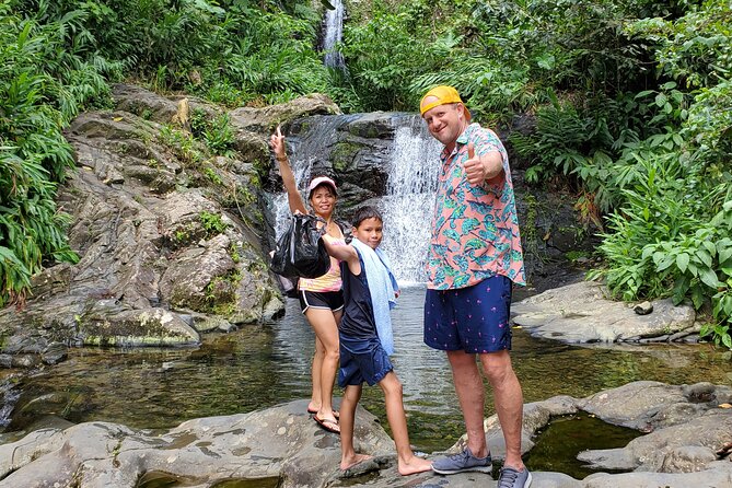 Private Rainforest Waterfalls and Beach Hiking Tour From San Juan - Inclusions
