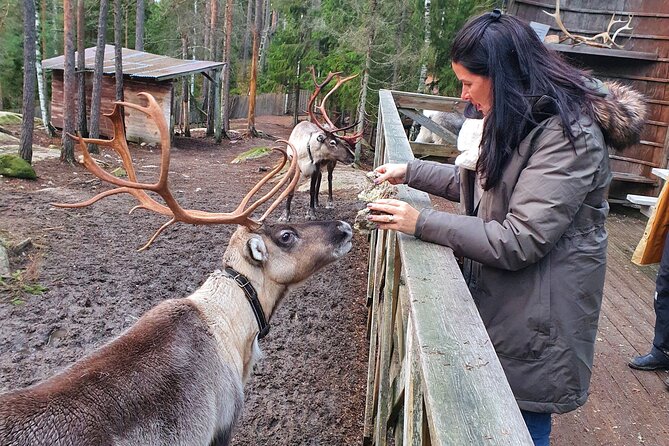 PRIVATE Reindeer Park Adventure by VIP Car - Itinerary and Activities