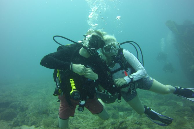 Private SCUBA Dive the Reefs of Key Largo for up to 8 Certified Divers - Transportation Details