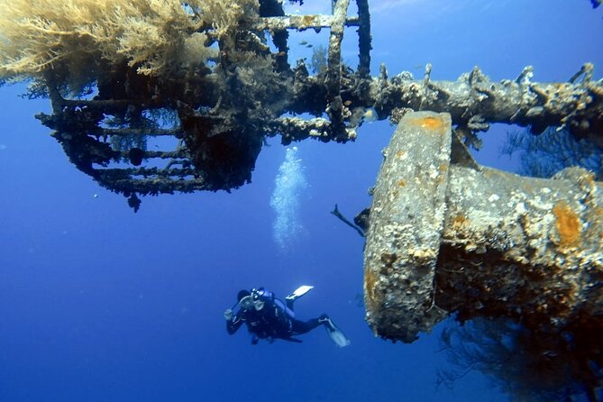 Private Scuba Diving Adventure in the Red Sea of Aqaba - Benefits of Private Diving
