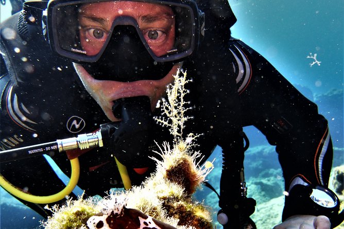 Private Scuba Diving Experience in Mandraki - Scheduling and Availability