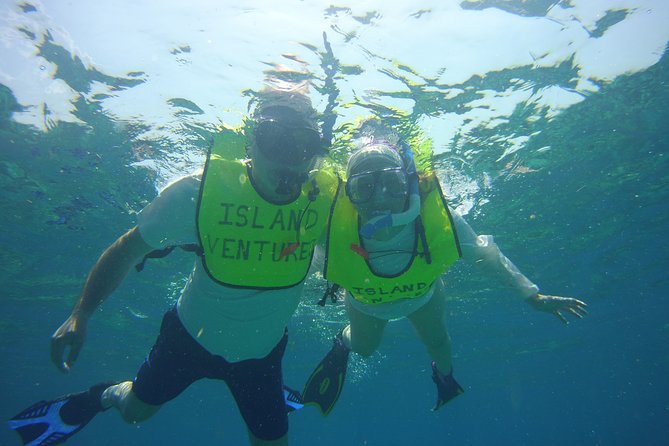 Private Snorkel to Key Largo Reef for up to 12 - INCLUDES GEAR! - Highlights of the Snorkeling Experience