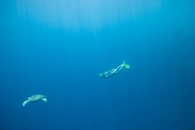 Private Snorkeling Experience in Aqaba Red Sea - Breathtaking Snorkeling Spots in Aqaba