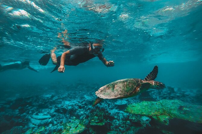 Private Snorkeling With Turtles With BBQ Food - Delicious BBQ Food Options