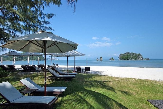 Private Tanjung Rhu Village and Mangroves by Boat in Langkawi - Wildlife Observation