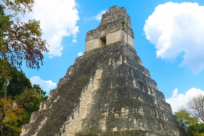 Private Tikal Mayan City Tour With Lunch - Tour Highlights and Experiences