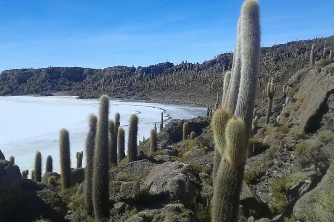 Private Tour: 2 Days Uyuni Salt Flats & Volcano Tunupa From Uyuni - Inclusions