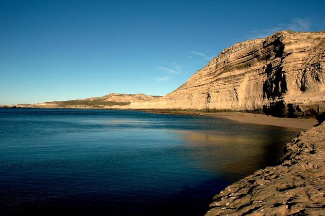 Private Tour for Cruises Around the Valdés Peninsula - Marine Fauna of the Region