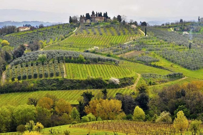 Private Tour From Livorno Port to Chianti Wine Region - Physical Fitness and Accessibility