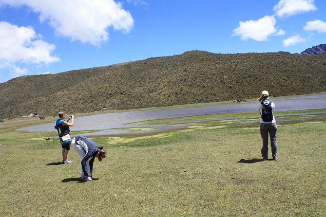 Private Tour From Quito to Cotopaxi Volcano + Rose Plantation - Visiting the Interpretation Center