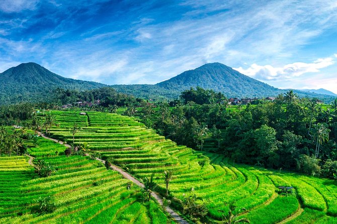 Private Tour: Handara Iconic Gate, Rice Terrace & Ulundanu Temple - Itinerary Overview