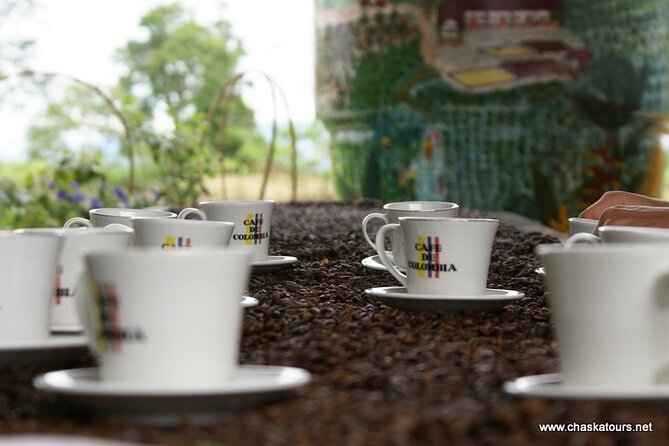 Private Tour in an Authentic, Ecological Local Coffee Finca. - What to Expect