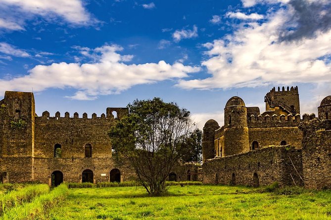 Private Tour in Gondar City With Pickup - Inclusions and Amenities