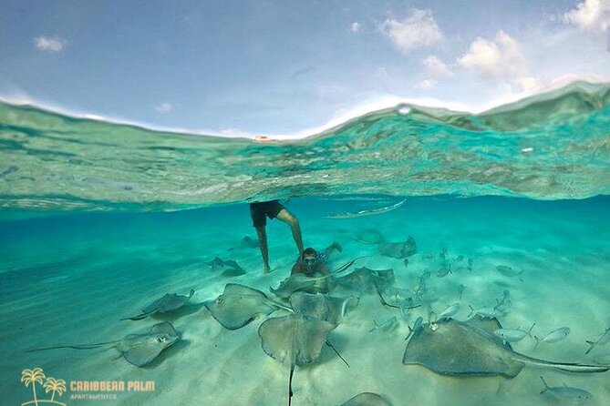 Private Tour in Luxury BOAT Over the Sea of ​​7 Colors - Inclusions and Costs