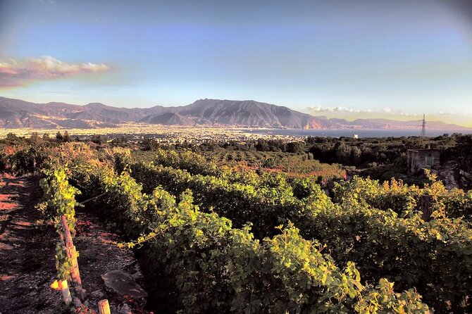 Private Tour in Pompeii Ruins and Pompeii City Center Winery - Additional Information