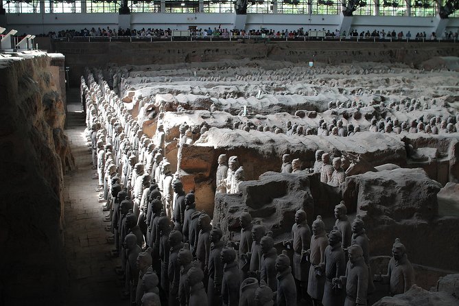 Private Tour in Terracotta Warriors Discovery - Terracotta Warriors Museum Experience