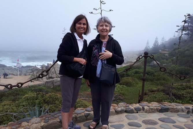 Private Tour Isla Negra, Pomaire and Coastal Resorts Tour From Santiago - Customer Feedback