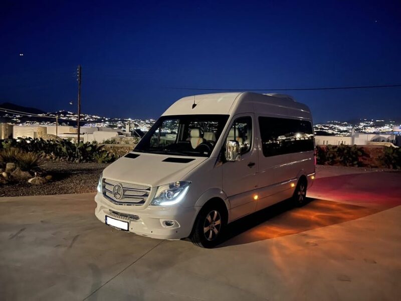 Private Tour Mykonos - Flexibility and Customization