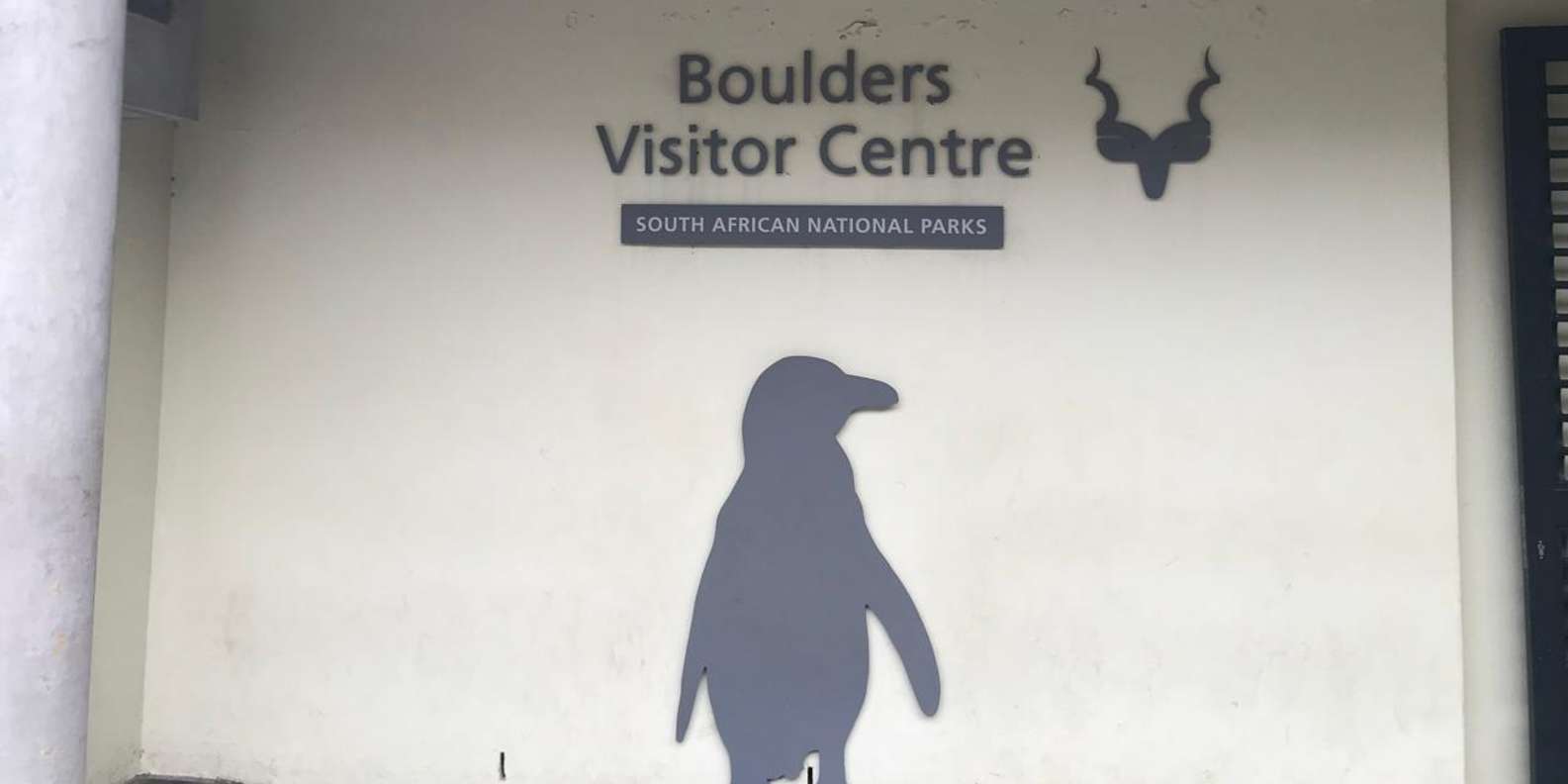 Private Tour Of Cape Peninsula and Boulders Beach Penguins - Encounter the Enchanting Boulders Beach Penguins