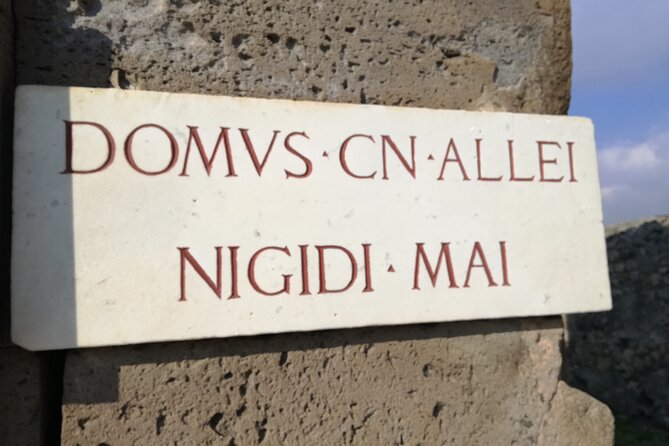 Private Tour of Pompeii. Visit of the Roman Villas Recently Opened to the Public - Meeting and Pickup