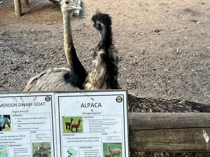 Private Tour of World of Birds, Kirstenbosch, and Constantia - Discovering Kirstenboschs Natural Wonders