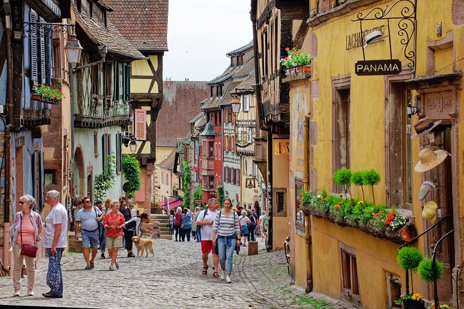 Private Tour: Picturesque Alsatian Villages & Wine Tasting With a Local Expert - Experience Highlights