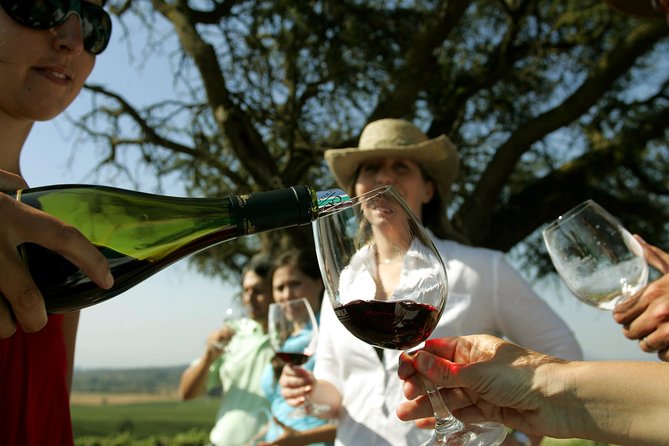 PRIVATE TOUR: Pre or Post Cruise San Antonio Port With Santiago TOUR and Winery - Pickup and Drop-off Information