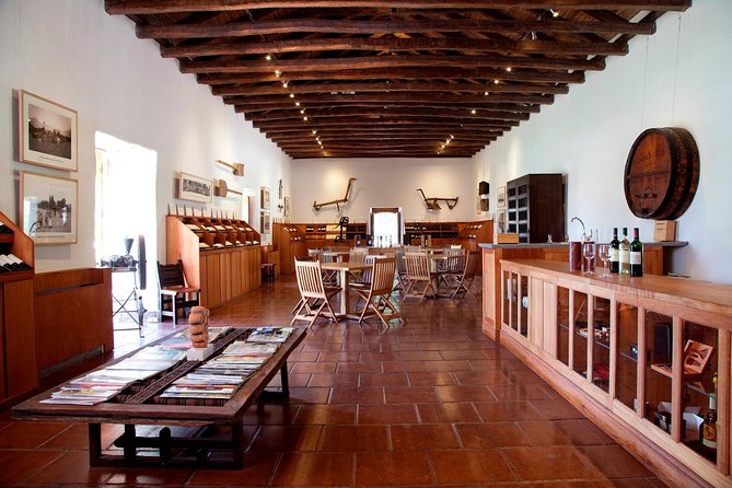 Private Tour: Santa Rita Vineyard With Wine Tastings - Winemaking Process