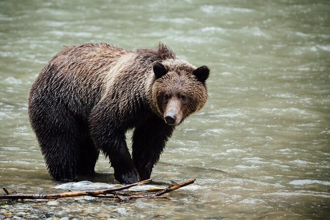 Private Tour: The Best of Banff National Park - Half Day - Highlights of the Tour