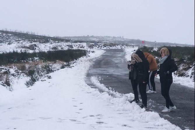 Private Tour Through Serra Da Estrela Park and Its Famous Cheese - Experience Overview