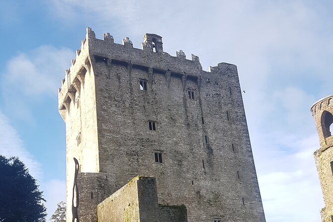 Private Tour to Blarney Castle, Cork City and Kinsale - Blarney Castle & Gardens
