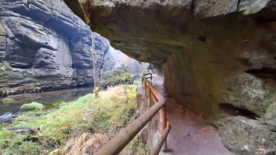 Private Tour to Czech-Saxon Switzerland National Park - Experience Highlights