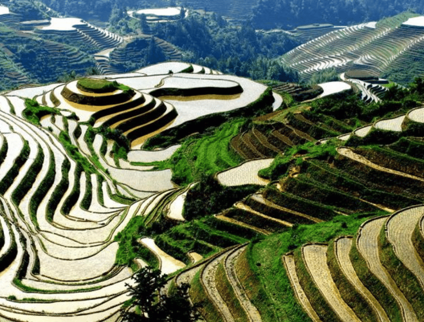 Private Tour to Longsheng Terrace Start From Guilin/Yangshuo - Guided Experience