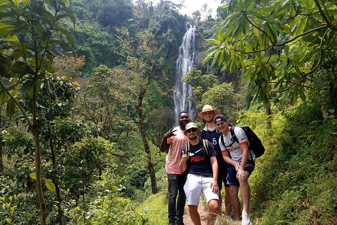 Private Tour to Materuni Waterfalls, Coffee Tour & Kikuletwa Hot- Springs - Pickup and Transport