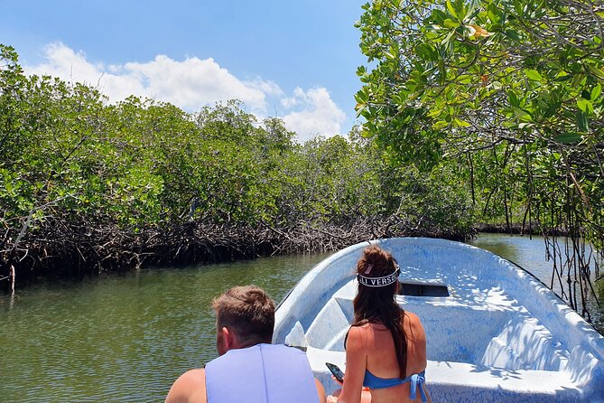 Private Tour to Paradise Island With Snorkel & Manatee Sanctuary - Pickup and Schedule
