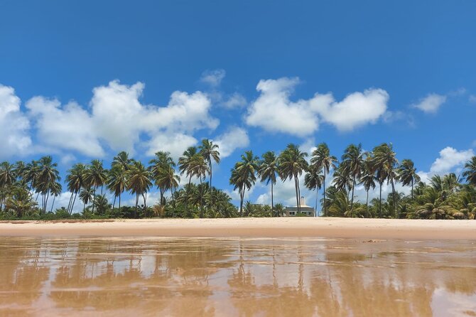 Private Tour to Praia Do Forte and Praia De Guarajuba From Salvador - Charming Fishing Village
