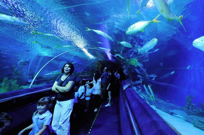 Private Tour to The Best of Animal Attractions in Kuala Lumpur - Inclusions and Logistics