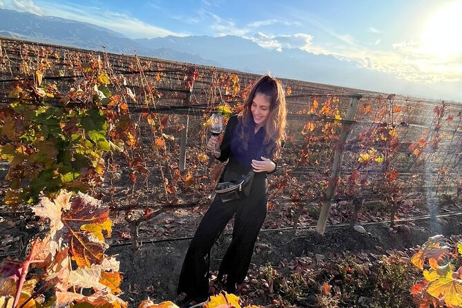 Private Tour: Wineries for the Day in Mendoza - Inclusions