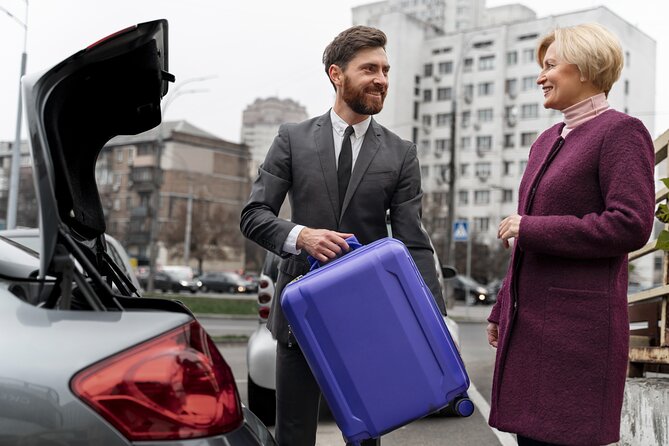 Private Transfer From Cairo Airport to the Hotel in Cairo or Giza - Benefits of Prebooking