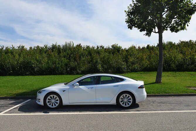 Private Transfer From Interlaken to Zurich Airport - Accessibility and Luggage Policy